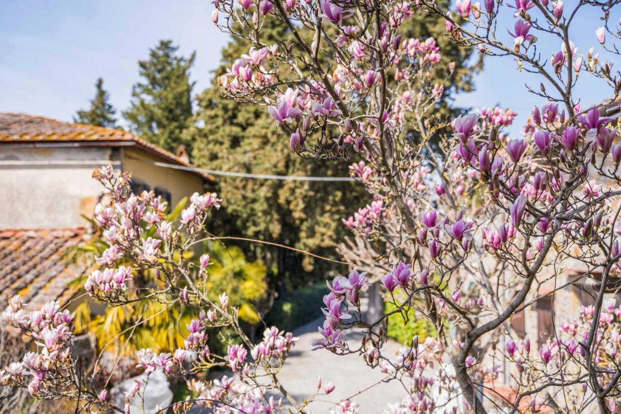 La Magnolia Bed & Breakfast Греве ин Кианти Екстериор снимка